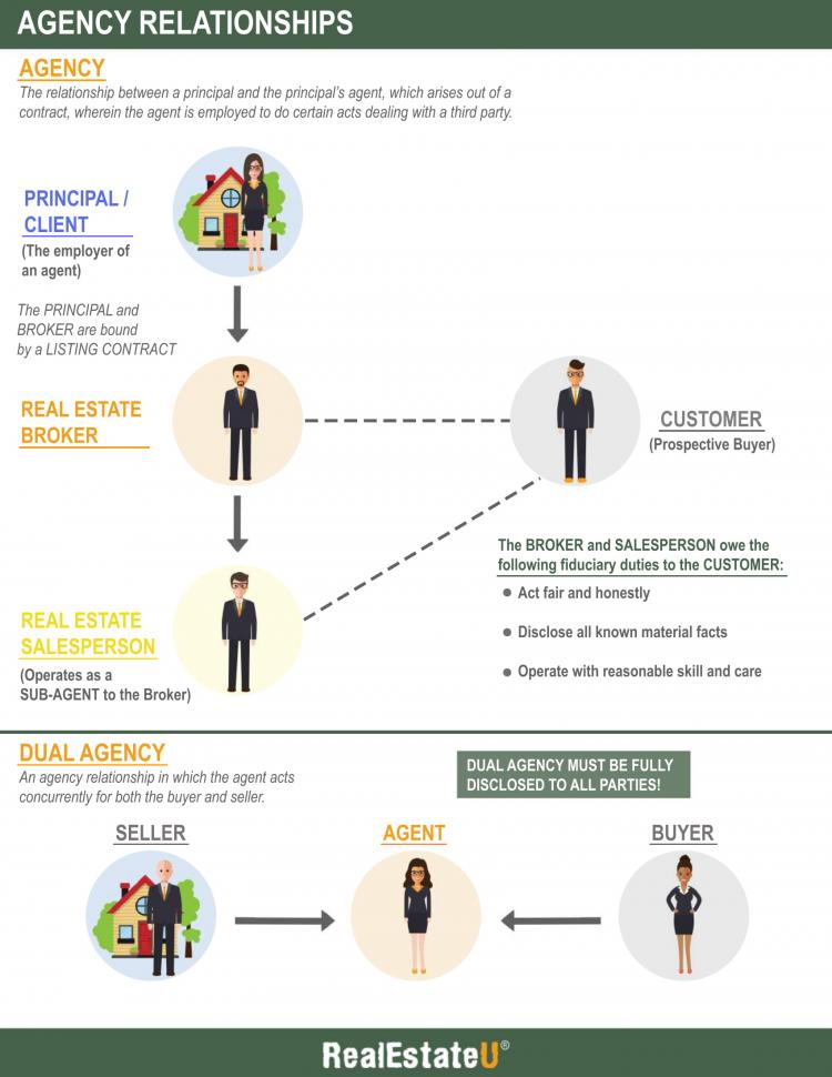 23.1a Agency Relationships Infographic.