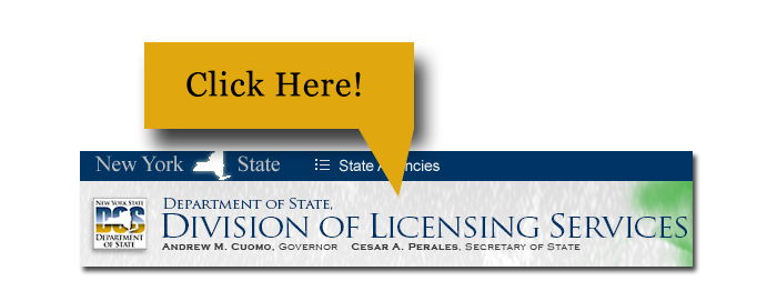 Department of State Licensing NYS.