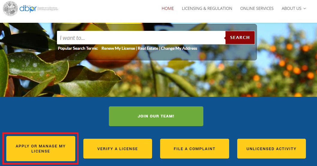 Apply for license link on the Florida Department of Business & Professional Regulation website.